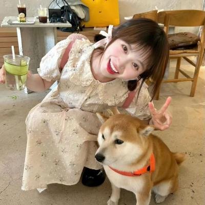 菊花村的那些事